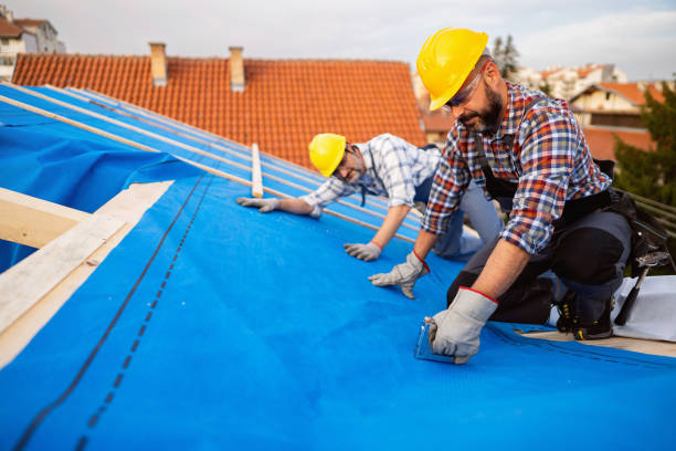 Best Flat Roof Repair Services  in The Hills, NJ