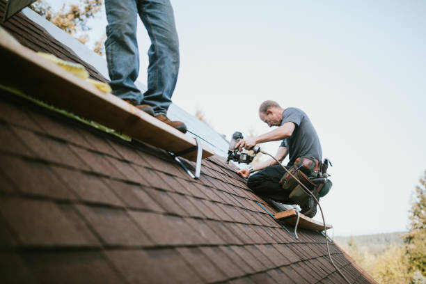Best Roof Gutter Cleaning  in The Hills, NJ